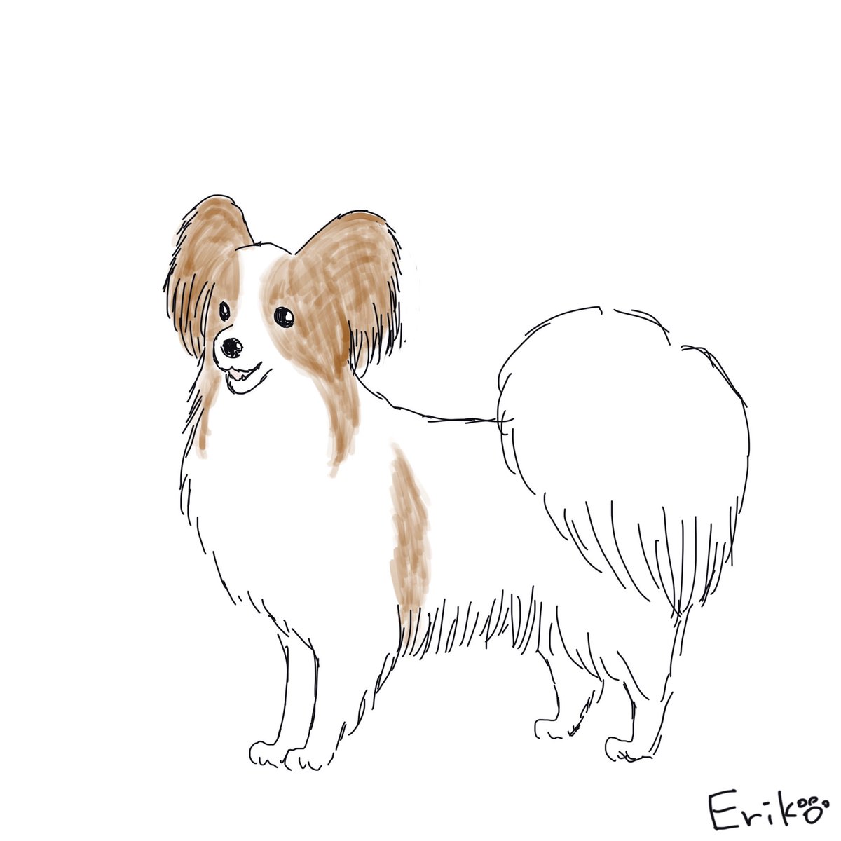 Dog Cat Sketch パピヨン いぬ 犬 イラスト 犬イラスト Papillon Continentaltoyspaniel Spaniel Papillondog Butterflydog Squirreldog Dog Applepencil Procreate Illustration 犬の絵 わんこイラスト わんこの絵 Dogillustration