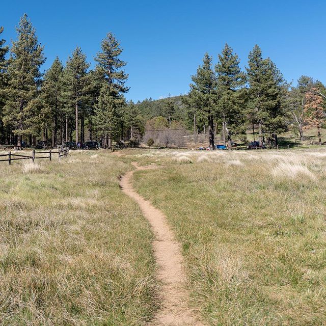 PahaQueCamping's tweet photo. We love a sweet piece of single track for hiking, biking, and all sorts of adventures. This one is on top of Mount Laguna in San Diego County. Where is your favorite trail ? #socal #pahaque #optoutside #singletrack #hiking #mountainbike #camping #camp… https://t.co/ApAMZAeGSa https://t.co/Cg4YDjH1NE