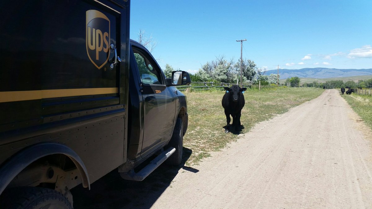 Justin in Missoula, Mt says "upon return to car scan around vehicle", looking for bull. #AnotherSafeUPSer <a href="/NorthwestUPSers/">Northwest UPSers</a> <a href="/safebychoice/">safebychoicenotbychancedotcom</a> <a href="/Jimgamble247/">JimGamble24/7</a>