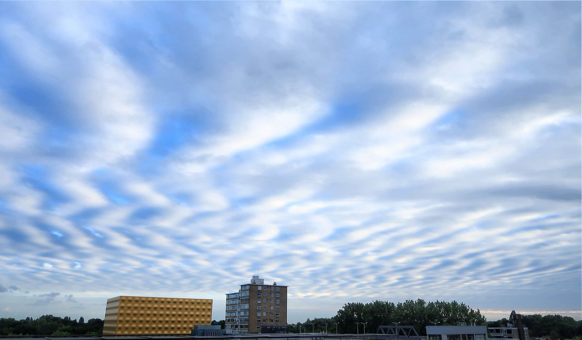 WustMarcel's tweet photo. Op 17 juni (bijna een maand geleden) #undulatie in het wolkendek boven #Amstelveen. Wow! https://t.co/3q2qEhrZQE