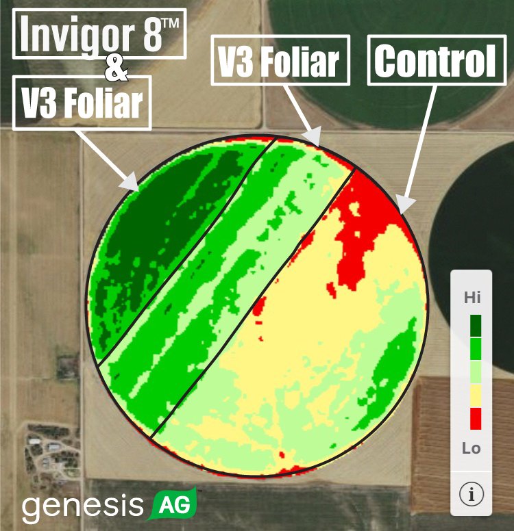 GenesisAgLife's tweet photo. Interesting plant health differences in Colorado #invigor8 #vitaNterra #carbose #microboom https://t.co/jK1ari9OrZ