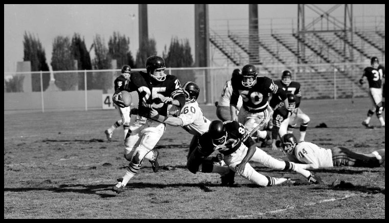 AFL Godfather 👓🏴‍☠️🔥 tweet media