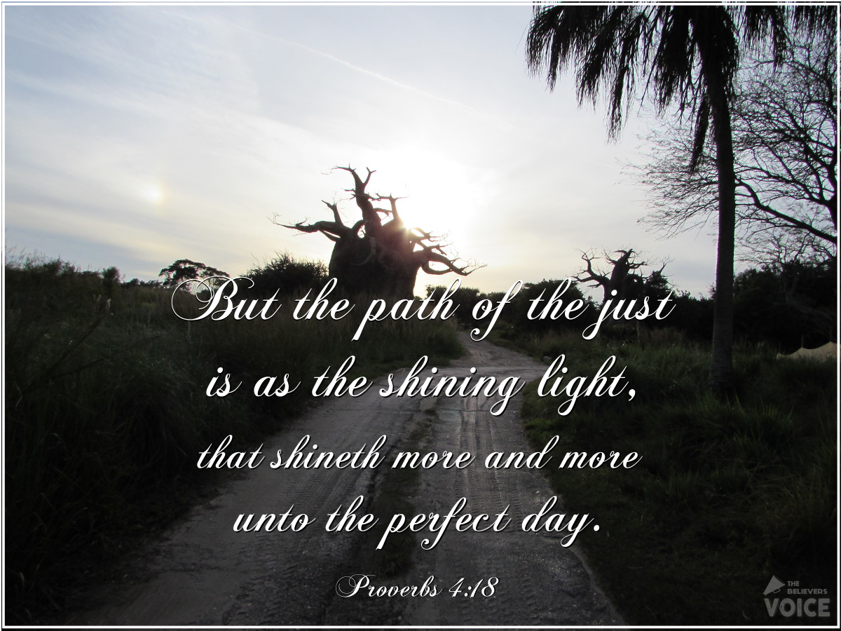 TBV_Post's tweet photo. But the path of the righteous is like the light of dawn, that shines brighter and brighter until it reaches its full strength and glory in the perfect day.
#GetWisdomatAnyCost https://t.co/stjJtPi6p5