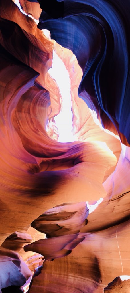 nobody_bueno's tweet image. Took this picture today, feel free to use it as your wallpaper #aestheticAF