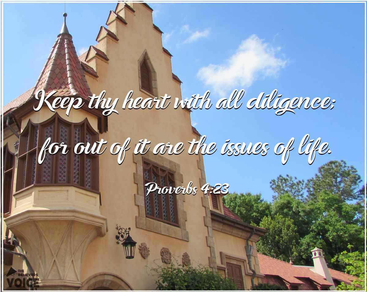TBV_Post's tweet photo. Watch over your HEART with all diligence, for from it flow the springs of life.
#GetWisdomatAnyCost https://t.co/fVnWnkLmvS