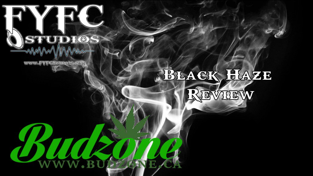 ShawnIsFear's tweet photo. #FYFCReviews : #BlackHaze
Watch @FearcastJ's latest #WeedWednesday Review!
Don't forget to subscribe & leave a comment!
#Budzone is THE place to order premium #cannabis online in Canada.
#Weed #Podcast #FollowMe #cannabis… https://t.co/EeXVhPj6YE https://t.co/wFf4Q0ARl8