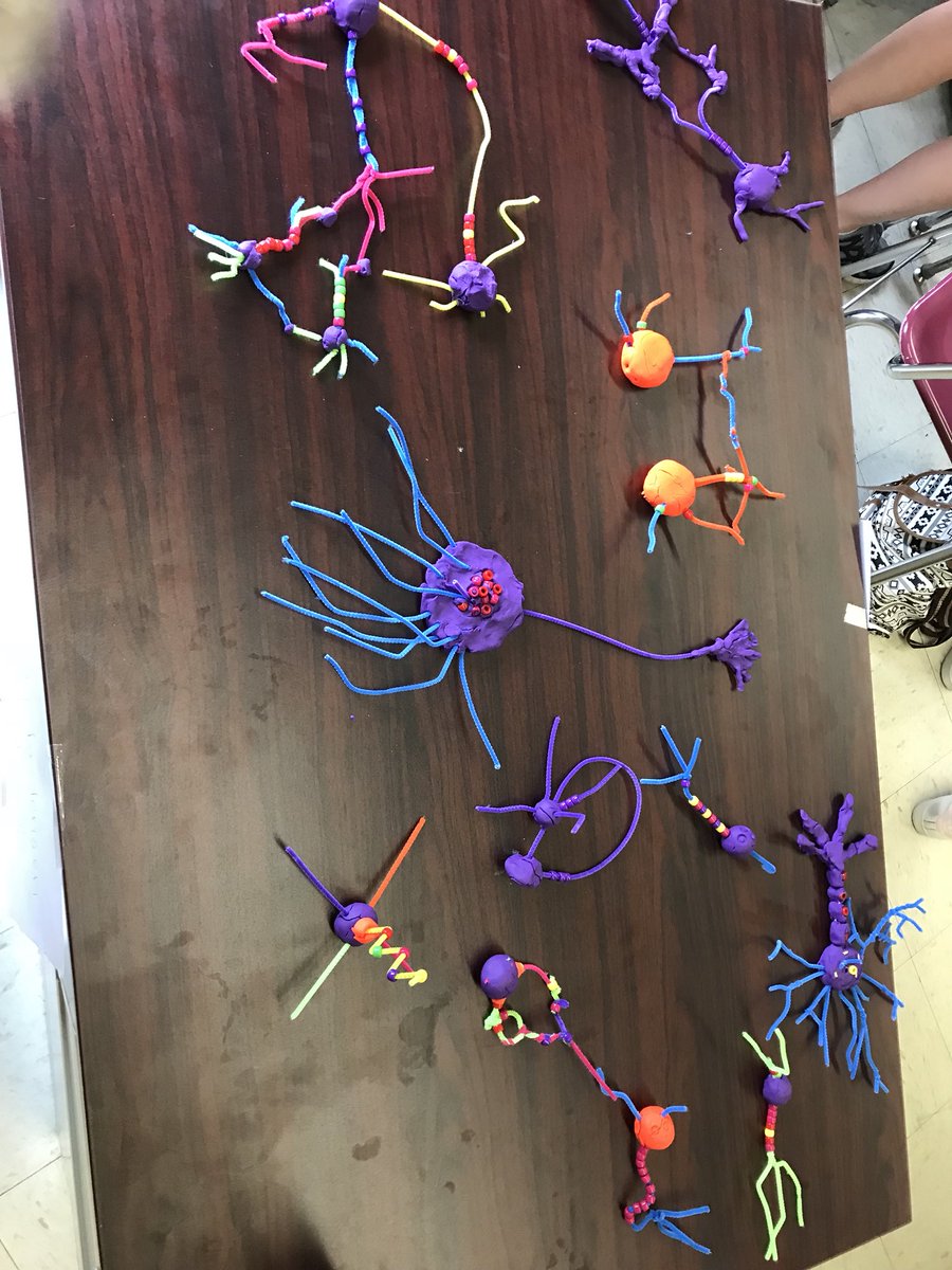 ms_feigel's tweet image. Who said the #summerbridgeprogram wouldn’t be fun? @EiE_org #algebraforall #STEM @SIBFSC @KenZapata75 @IS75Paulo