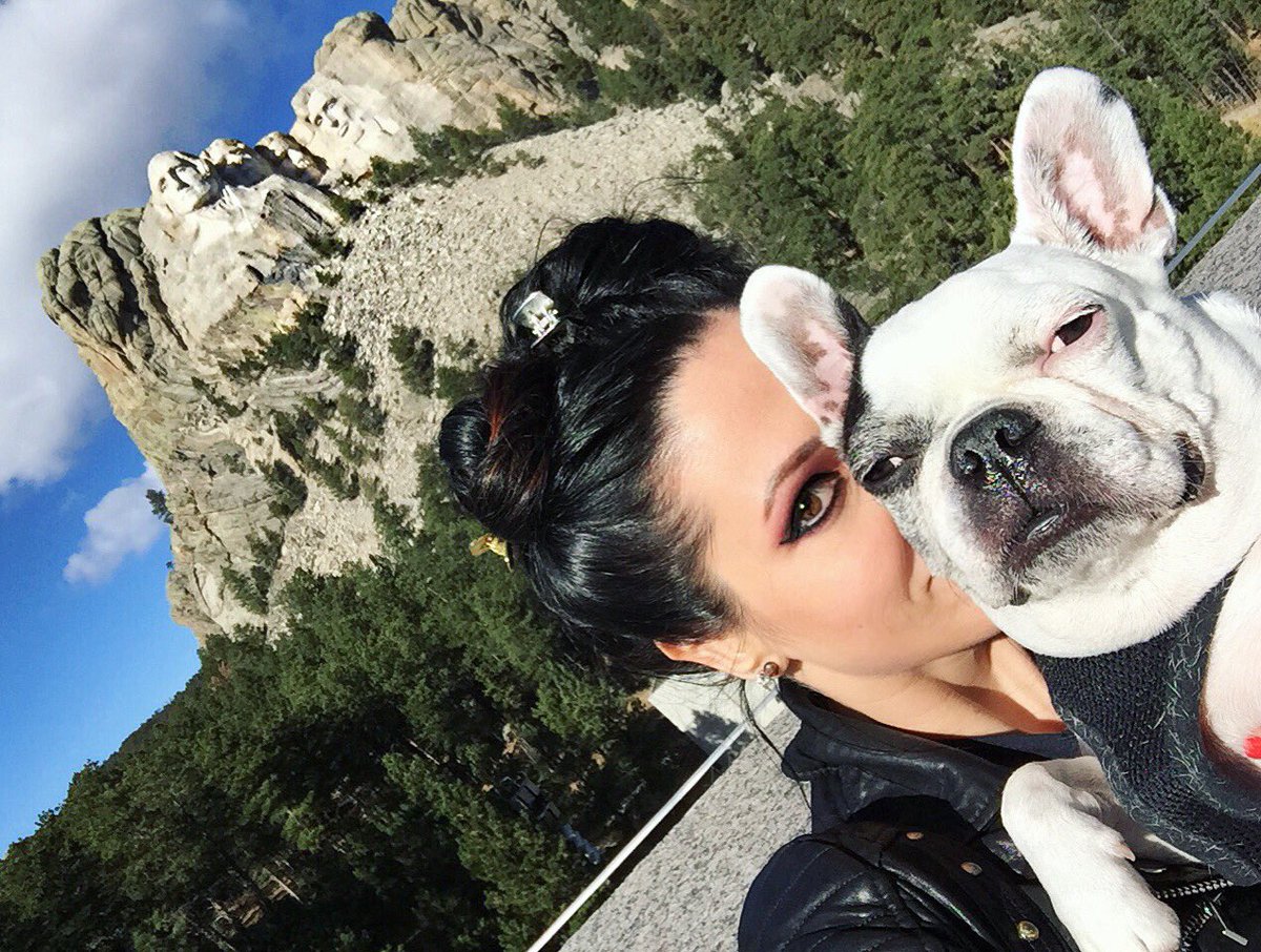 PawsBuzzGo's tweet photo. Bean ❤️✨ The true love of my life 

 #AllAmericanPetPhotoDay https://t.co/xP4cQJQBGG