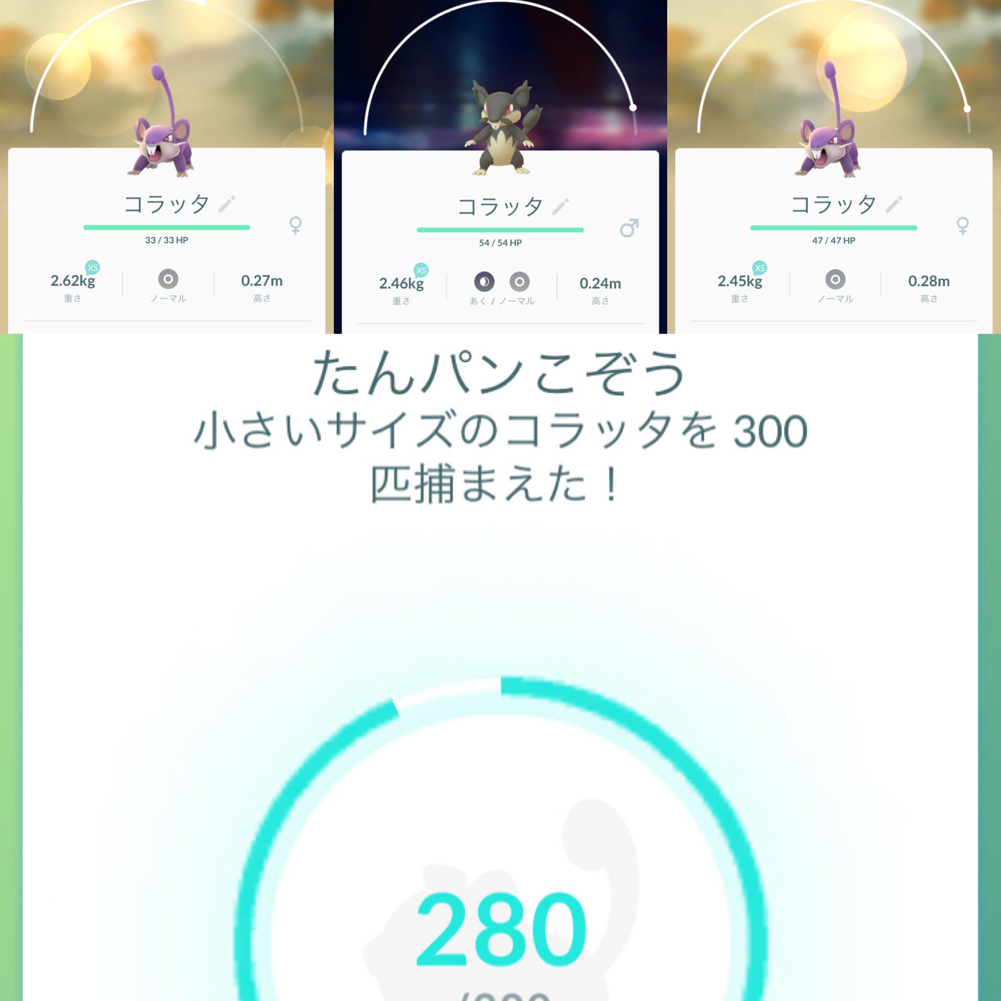 小さいサイズのコラッタ Twitter Search Twitter