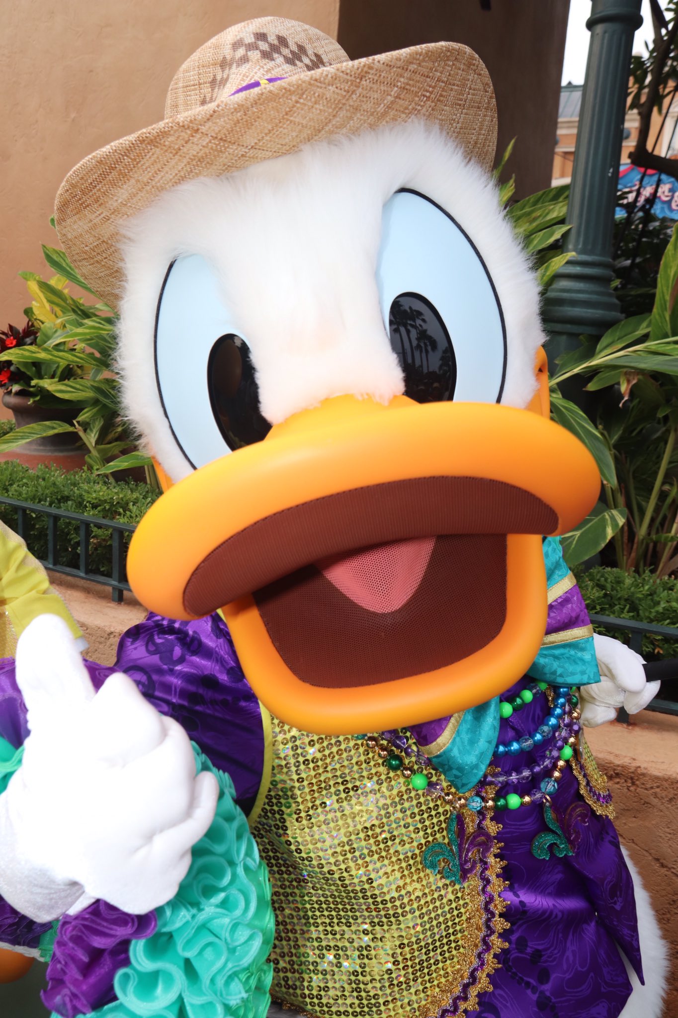 360 Of Disney Let S Party Gras We Saw Jose And Donaldduck Preparing For Their Grand Entrance At Tokyodisneyland Letspartygras Tdl Tdr Tdr35 Tokyodisney35 Tokyodisneyresort Thethreecaballeros Saludosamigos Happiestcelebration