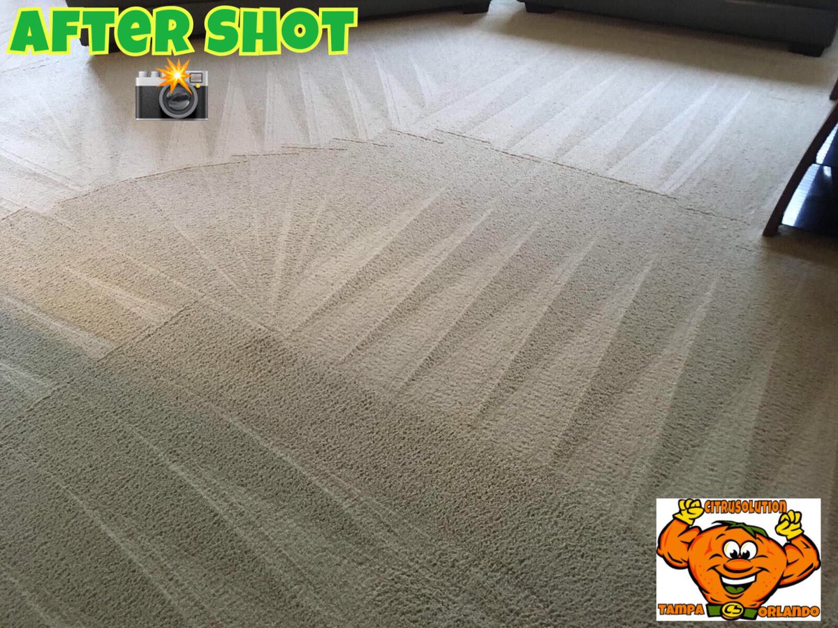 MacCitrus's tweet image. 📸 🍋🍋🍋🍋 #CitruSolution #Orlando #Tampa