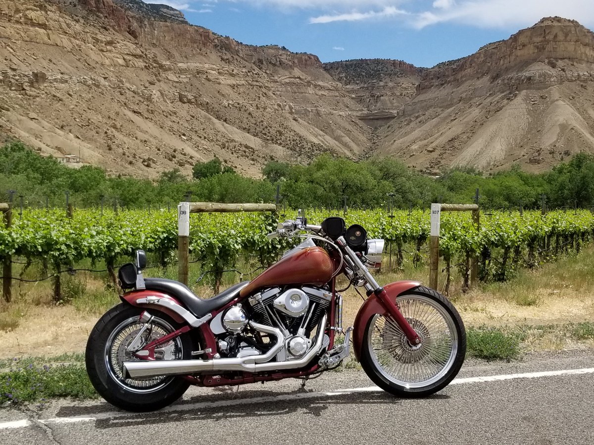 lacey_dragon's tweet photo. shakin the grape vines! #supertrapp #124SandS #BadAssBike #CustomChopper https://t.co/Fpzhc0Ptyr