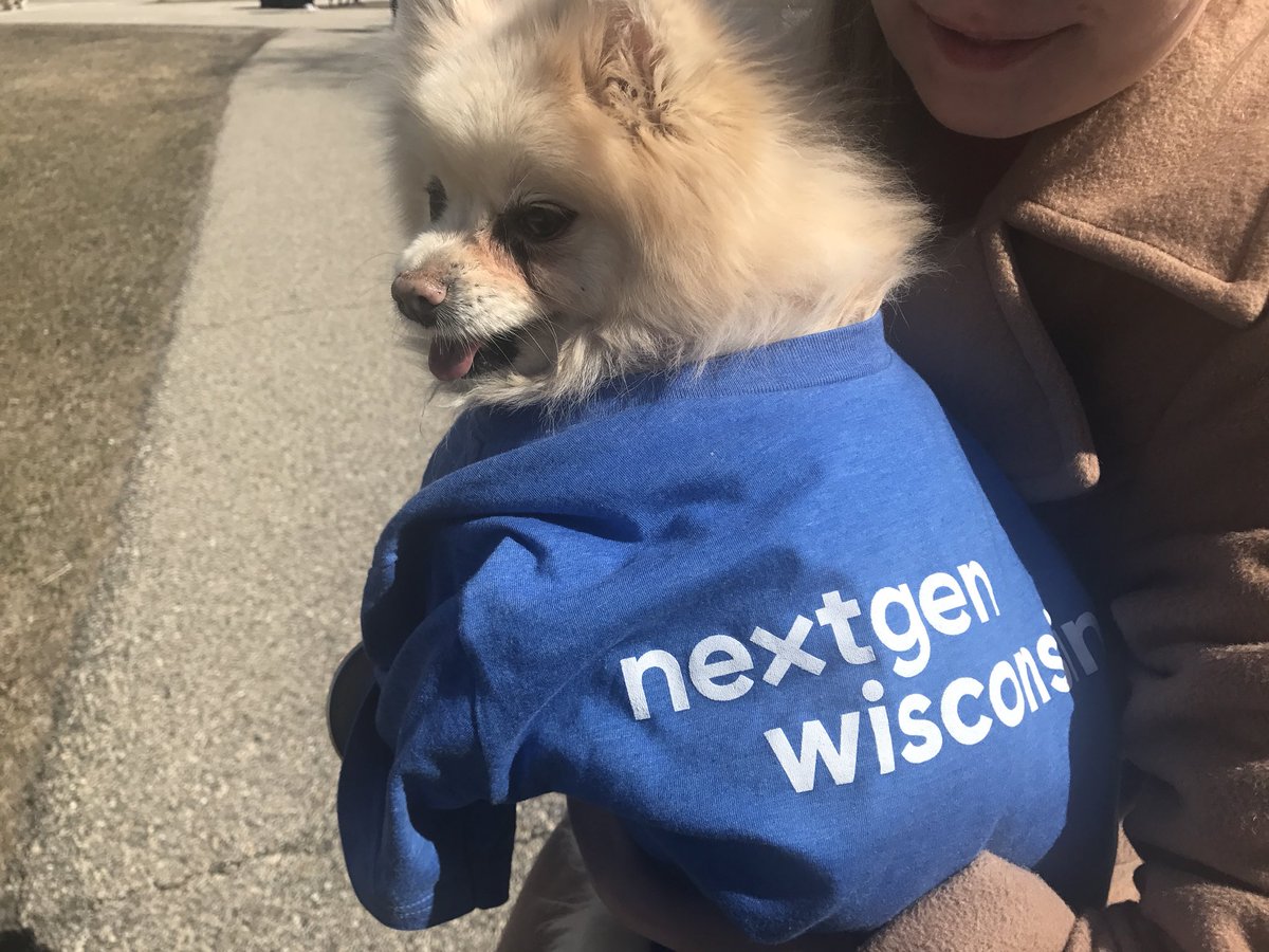JosephAWaldman's tweet photo. In honor of #AllAmericanPetPhotoDay, Feeb the #youthvote pomeranian is calling on YOU to help NextGen turn Wisconsin blue in 2018! Apply to be an organizer: https://t.co/iS8aHOznFw #ResistWInRepeat https://t.co/9hEAGk2hBt