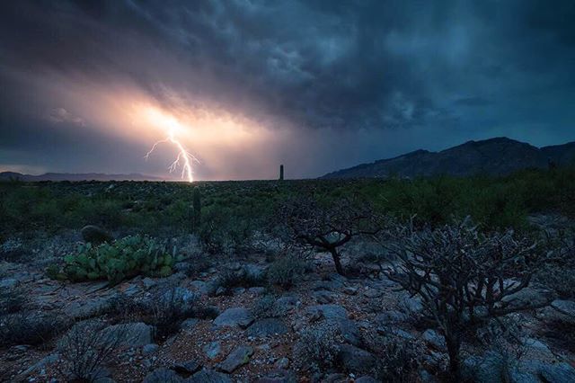Arizona is inspiring! We recently moved here and have really been enjoying the active lightning storms in the area along with abundance of desert beauty during monsoon season. On this evening, after hearing thunder and seeing lightning from the house, I … ift.tt/2JemS9N