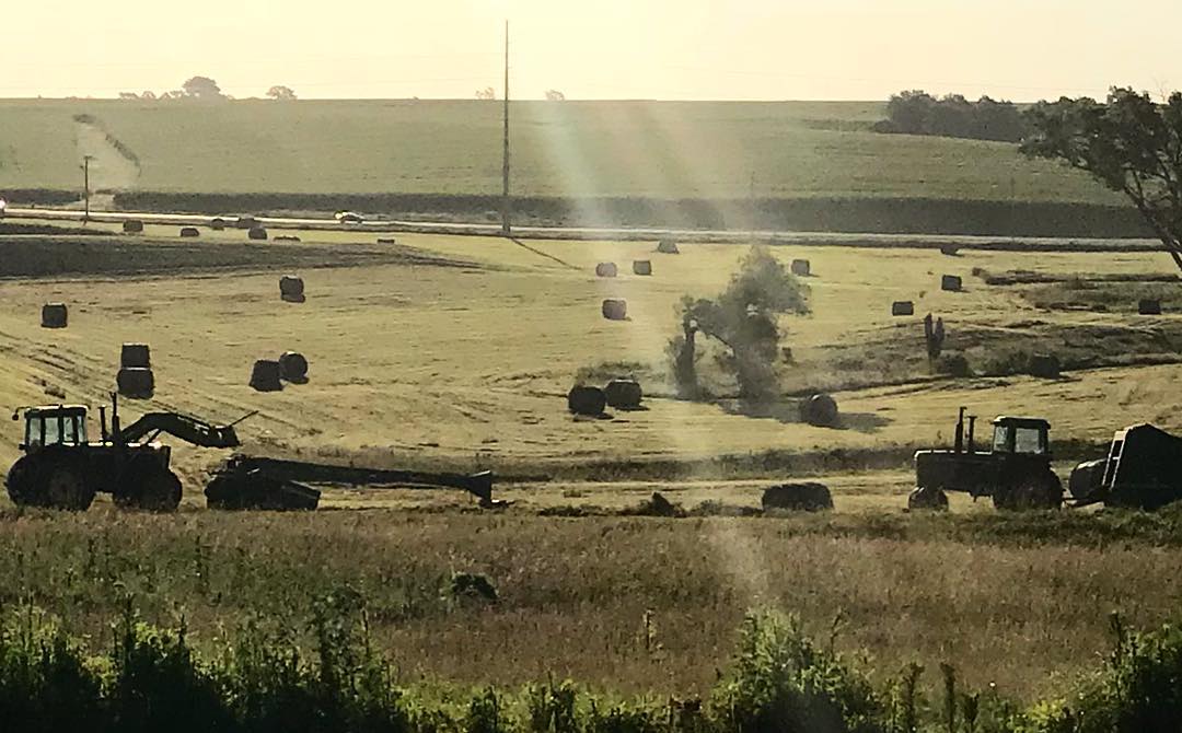 88tactical's tweet photo. What big city livin’ folk are missing. Learn more about our locations: https://t.co/W87XdnE6mk
#midwest #backyard #rurallife #88tactical #88tacticalgroup #88tacticalofohio #farming #myviewbeatsyours #roundbails https://t.co/Hua7f7fQ2x