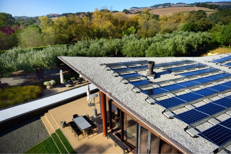 TheSmarterE's tweet photo. Wrap up your #IntersolarNA &amp; #eesNA week with our Solar Winery &amp; Microgrid Tour tomorrow and get a taste of wine country. RSVP: https://t.co/w12bljNTCt https://t.co/1mGYjKFBJL