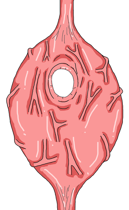 肉繭のtwitterイラスト検索結果