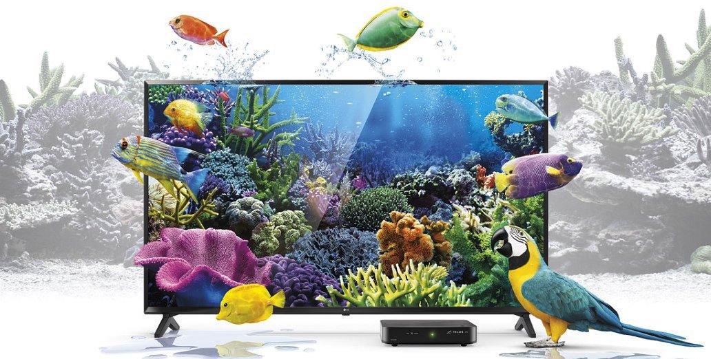 DailyHiveVan's tweet photo. Want to win a brand new LG 50” 4K HDR Smart TV? Be one of the first two people to find it in #Vancouver https://t.co/enfDDsZSZq https://t.co/BBMVYAIW9T