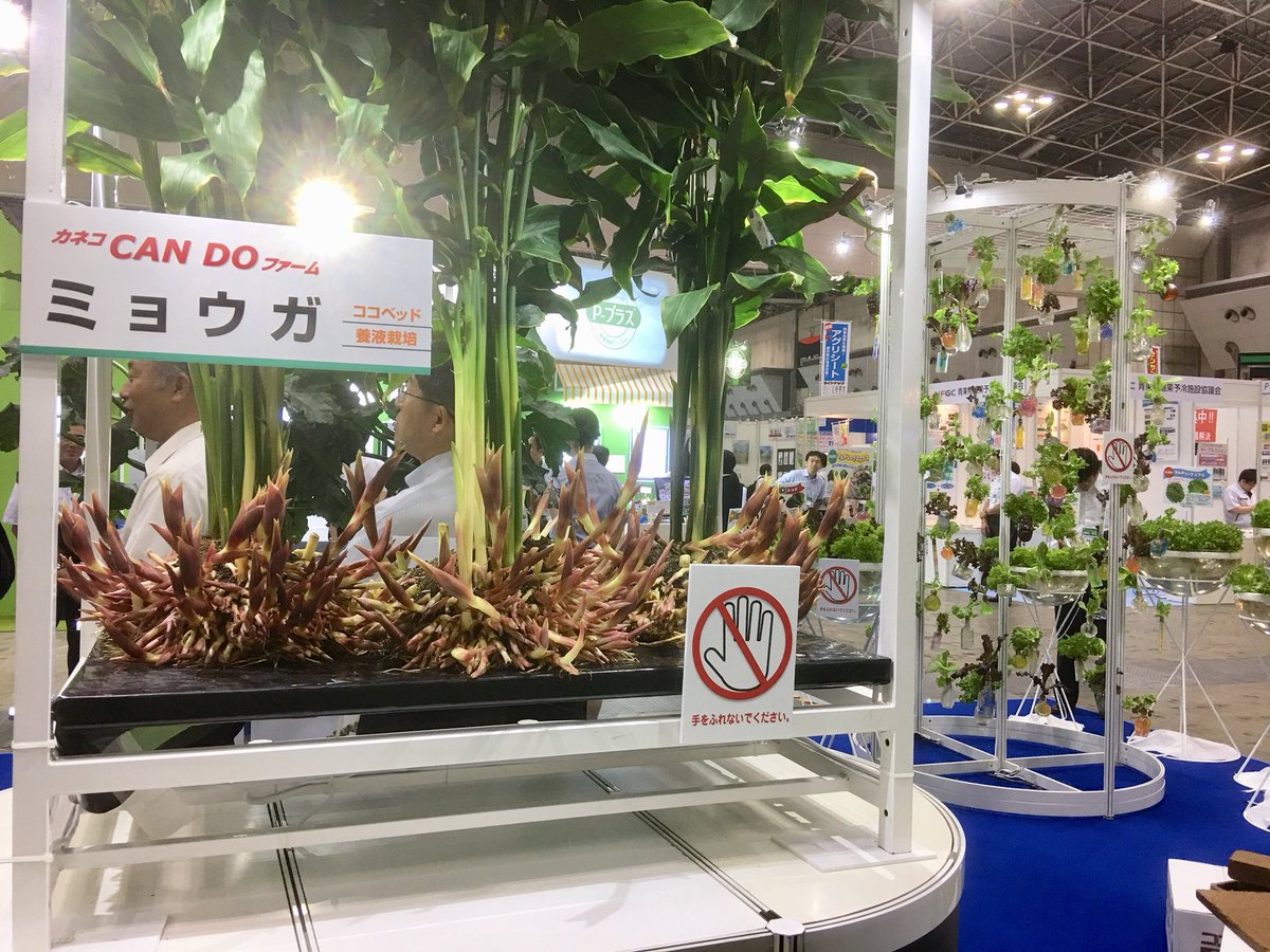 田島正幸 Twitterissa 施設園芸 植物工場展 スマートアグリ ソリューション 会期 7月11日 13日 が開催されている東京ビッグサイトにきています カネコ種苗の栽培システムの展示 イーエス ウォーターネットのsmart Linkで スマホからかん水を遠隔管理 三協 田島正幸 Twitterissa 施設園芸 植物工場展 スマートアグリ ソリューション 会期 7月11日 13日 が開催されている東京ビッグサイトにきています カネコ種苗の栽培システムの展示 イーエス ウォーターネットのsmart Linkで スマホからかん水を遠隔管理 三協