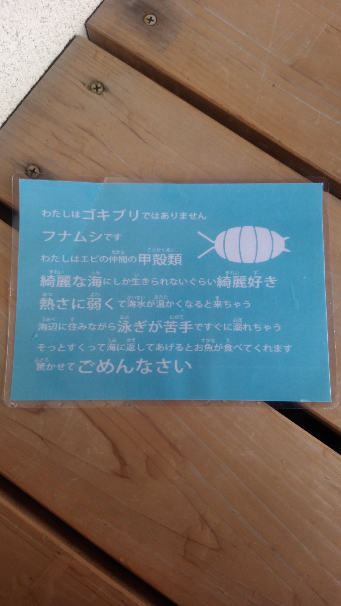 フナムシさんの自己紹介文があまりにも人間に対してへりくだってる件w 話題の画像プラス フナムシさんの自己紹介文があまりにも人間に対してへりくだってる件w 話題の画像プラス