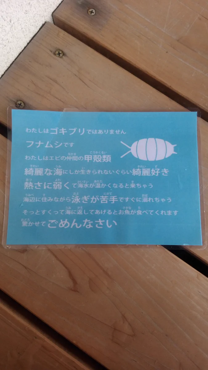 フナムシさんの自己紹介文があまりにも人間に対してへりくだってる件ｗ