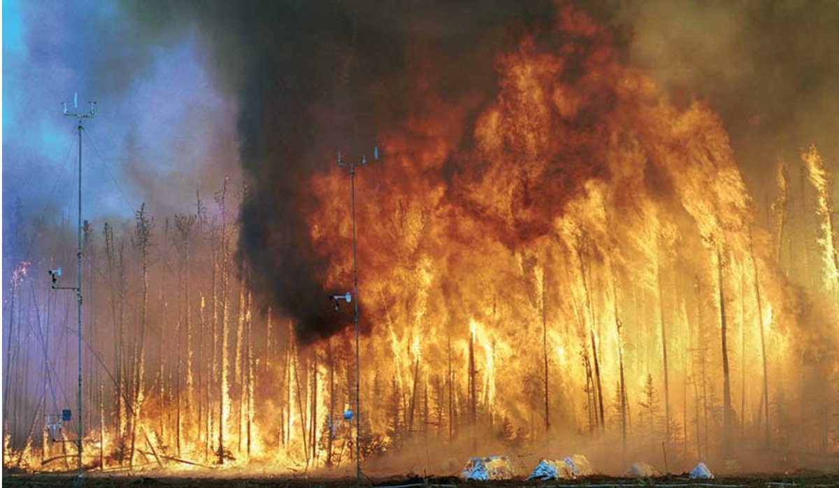 Startup Uses Machine Learning To Cut Fire Risk From Power Grids
enr.com/articles/44853…
#Engineering #Technology #MachineLearning #Fire #ForestFires #AI