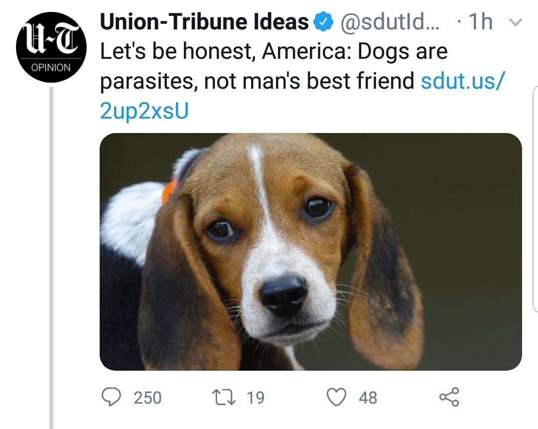 🚨 RATIO ALERT 🚨

A large ratio event is currently underway epicentered in Shitting-On-One-Of-The-Few-Remaining-Sources-Of-Joy-And-Companionship-In-This-Dystopian-Hellscape Twitter.

@DSADogCaucus are all good doggos! #Pawlidarity