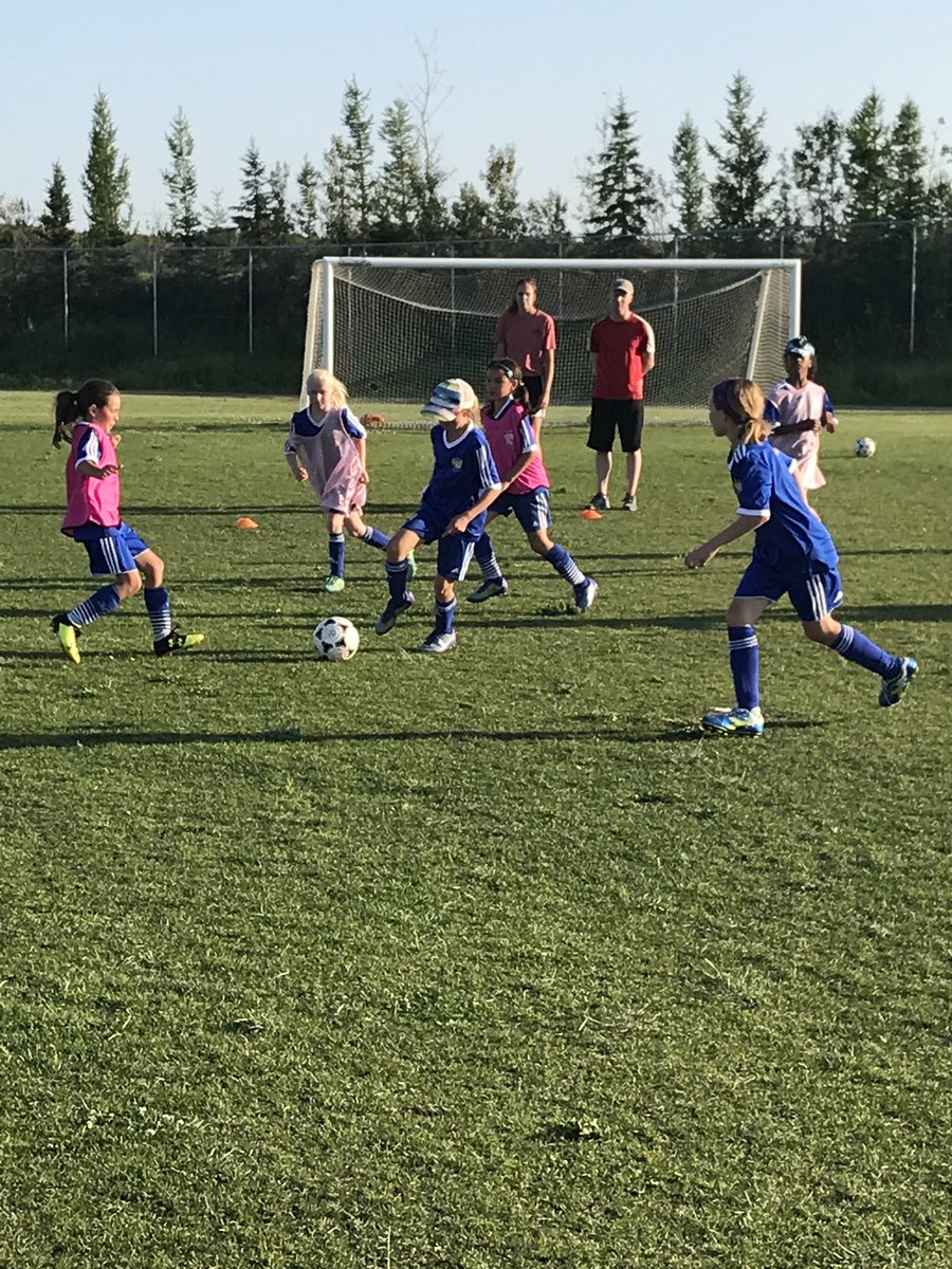 PetePietramala's tweet photo. U10 Junior Impact lighting it up on a gorgeous evening! #bluecrush
#sasa
#juniorimpact https://t.co/52jofVlZO6