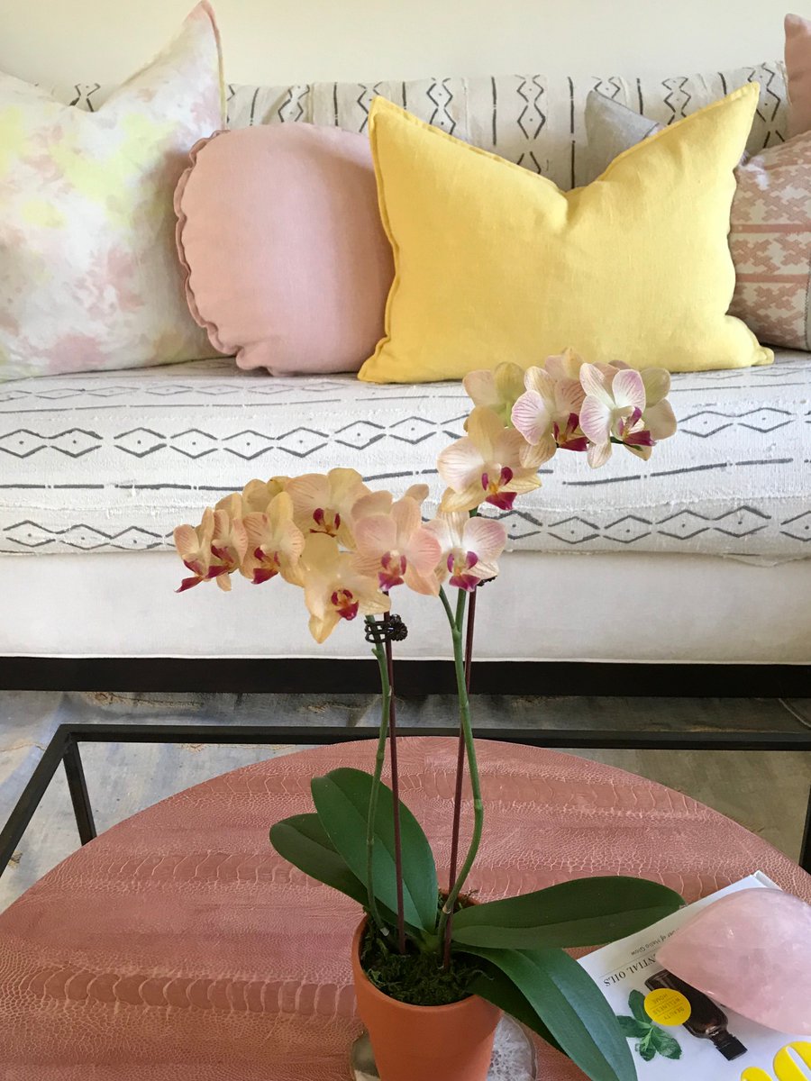 HouseofCindy's tweet photo. use a color prescription to change your lifehttps://www.houseofcindy.com/blog/-color-prescription-decorating-with-yellow/ https://t.co/reMWYkPAgn