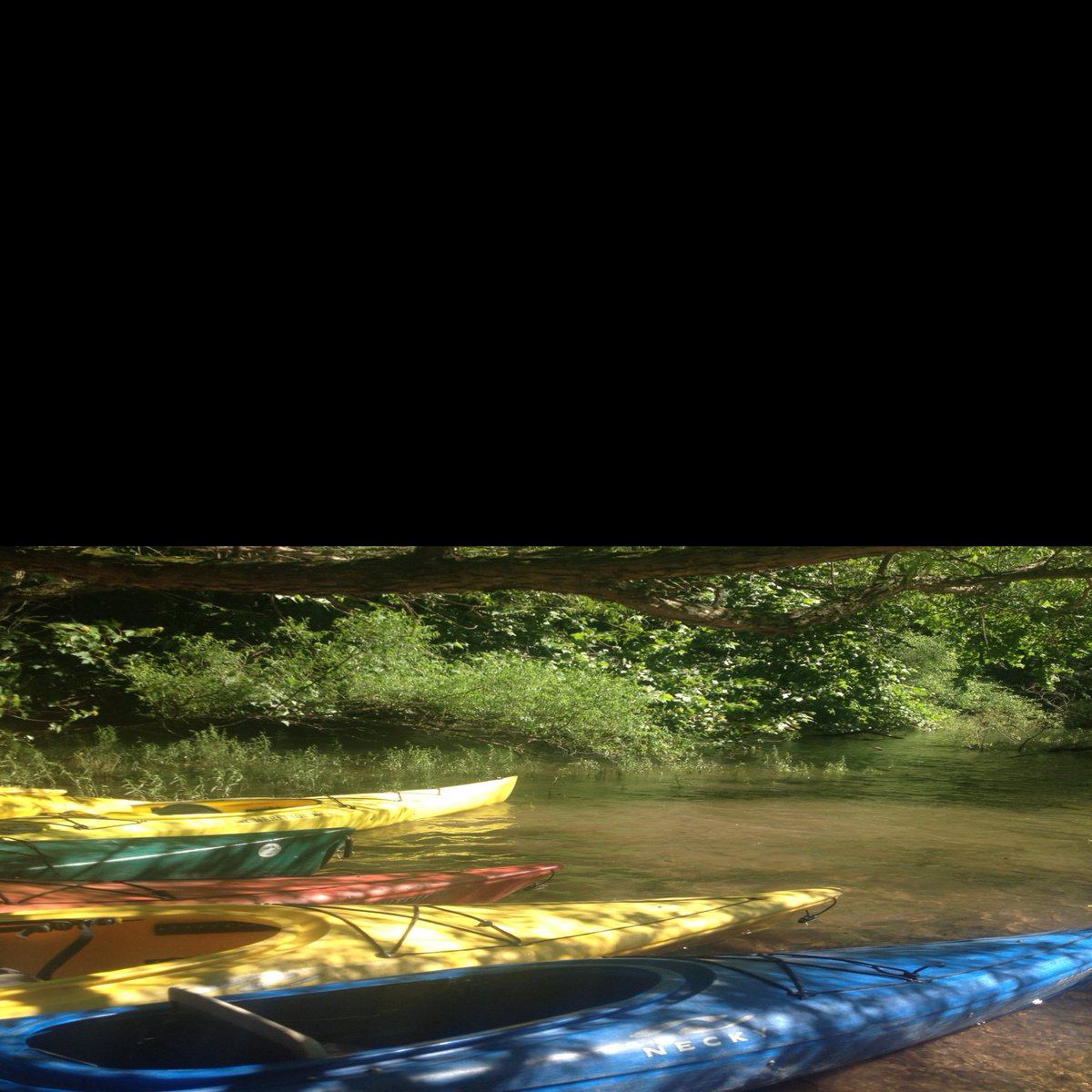 Allearthtours's tweet image. We have a few spots left on our kayak tour tomorrow. Call by 8 am and get on it! #ecotours #eagles #kayaks #fun #fish #wildlife #goodfood #goodtimes #deepcreeklake #garrettcounty #Maryland