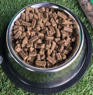 cobbydogdogfood's tweet photo. Want to try a sample of our new Optimum Cold Pressed with added TurmerAidโข? Send your address to lauren@cobbydog.com with the subject "COLD PRESSED SAMPLE" @TheGoodDogGuide #TasteTestColdPressed #RoadtestColdPressed #ColdPressedIsBest #DogFood #dogsoftwitter #UK https://t.co/wQPKjzBLKE