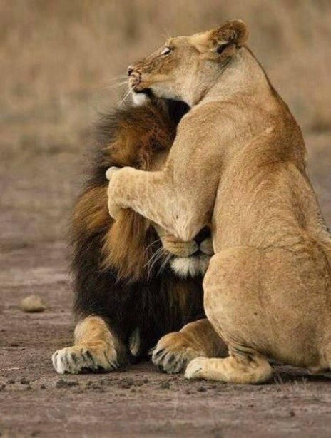 Tweettotouch's tweet photo. @Jos21515855 @MoniqueDeVrie10 @ellhvl @TeaErven @ZuilenV @dzjr74 @thomasdemmink  https://t.co/pHUGqzyrjY