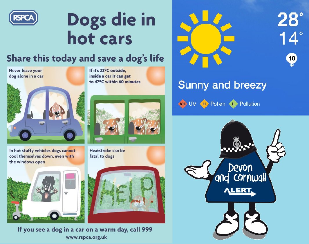 Cullompton Police tweet media