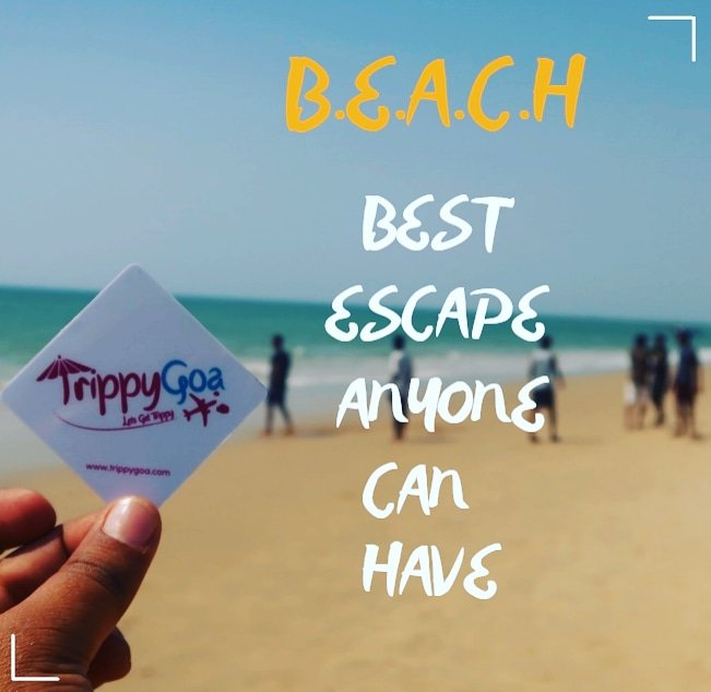 Trippy Goa | Let's get Trippy in Goa's Beauty 

trippygoa.com/blog

#goa #beach #goabeach #goabeaches #goabeauty #goapastandpresent #goavibes #goadiaries #tripgram #trippygoa #travelgram #traveldiaries