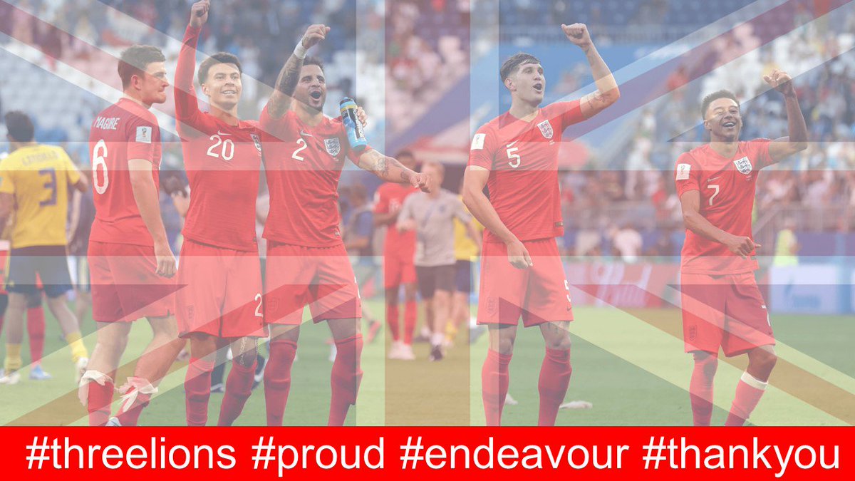 #threelions #proud #endeavour #thankyou