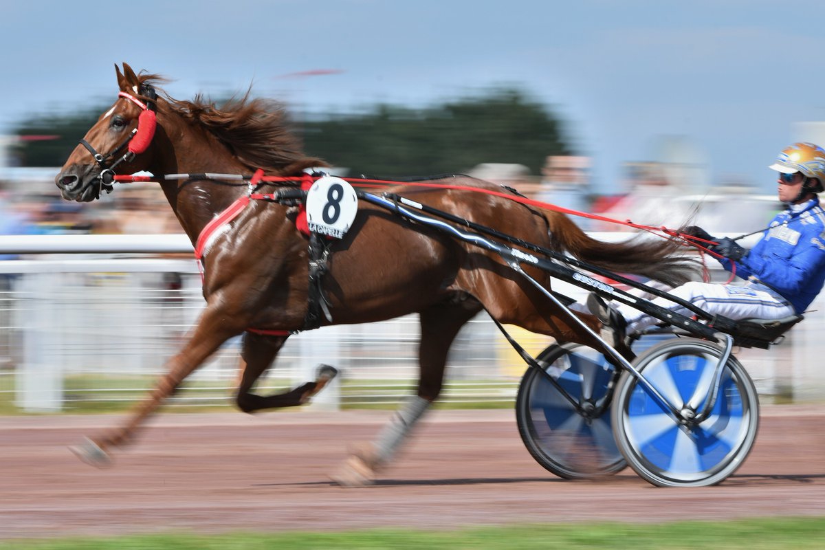 trotteur jump and go