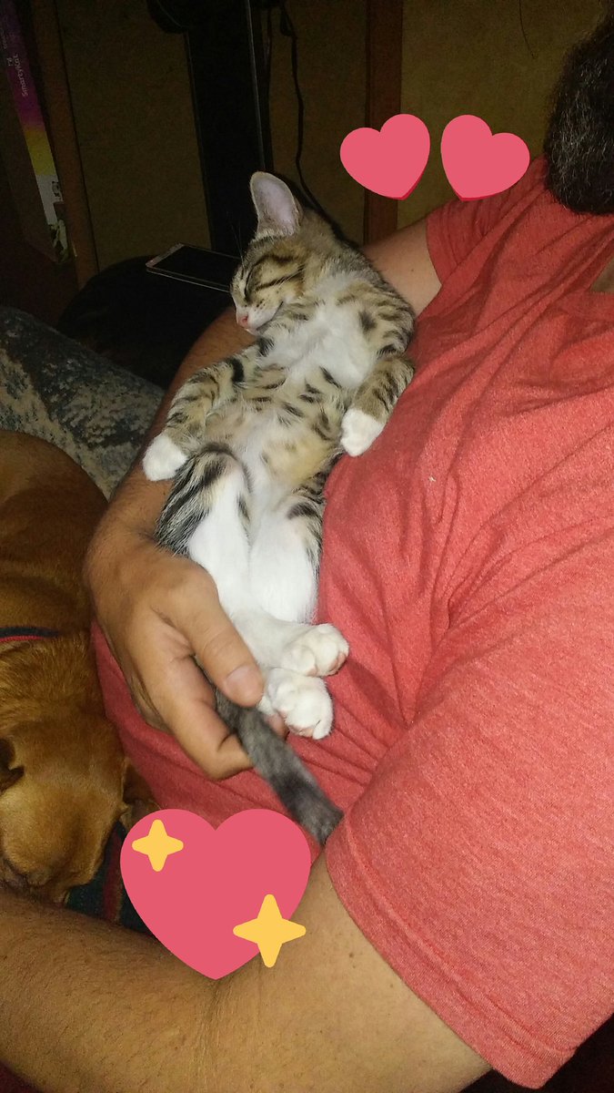 Sammy2Shoes77's tweet image. #CompleteTrust &amp;amp; comfort. #PuttyInHisHands #IKnowHowYouFeel 
@bradandsamgober