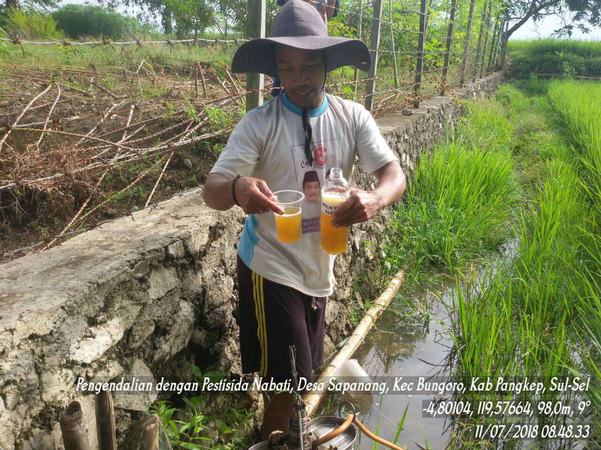 ditlin_tp's tweet photo. Cerita Dem Area. Pengendalian OPT dengan kimia itu berat,,biar pake pestisida nabati saja. Lokasi Dem Area Makkamase. Kec. Bungoro. Kab. Pangkep. Sulsel. Semangat PHT. Sukses Perlintan #budidayatanamansehat https://t.co/c8eZVKS2cz