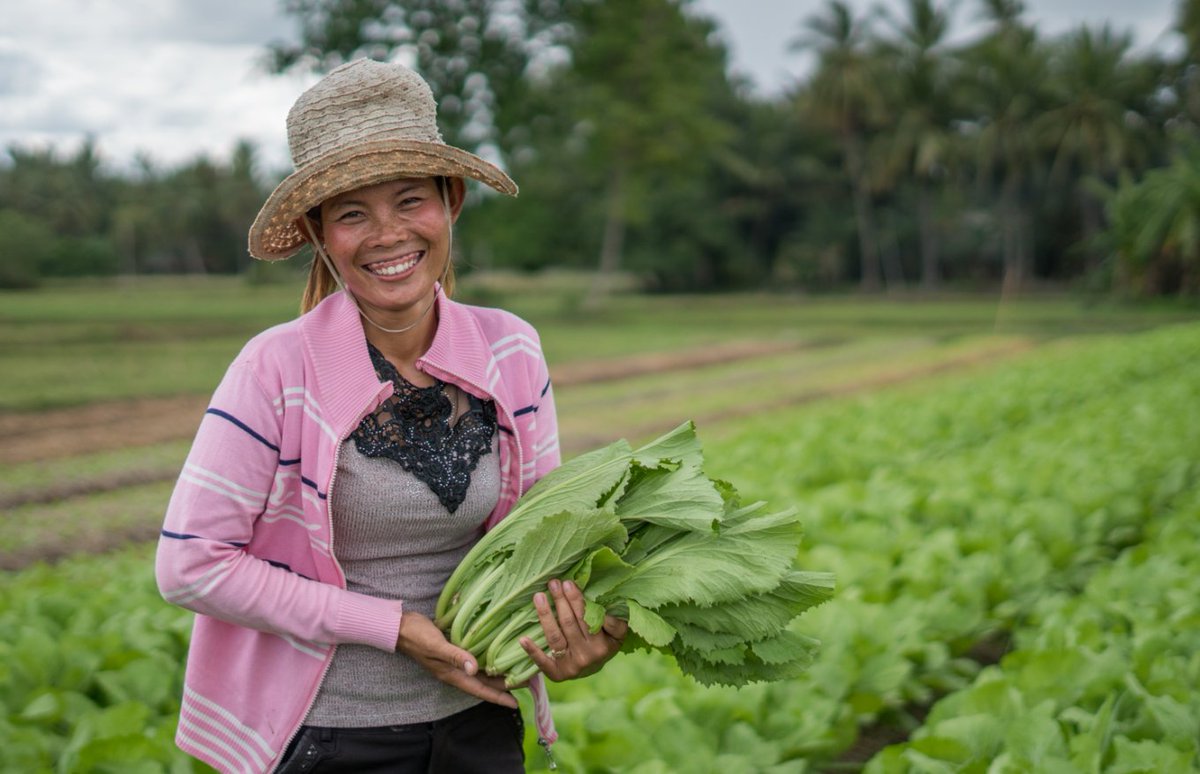 Diversifying crops grown by smallscale farmers helps to improve nutrition of the population and improve farmers livelihoods. ow.ly/8p6B30kSo1Z @FAO 

#crops #agriculture #nutrition #malnutrition #zerohunger #farmers #developingcountry #sustainablefoodsystem #Cambodia