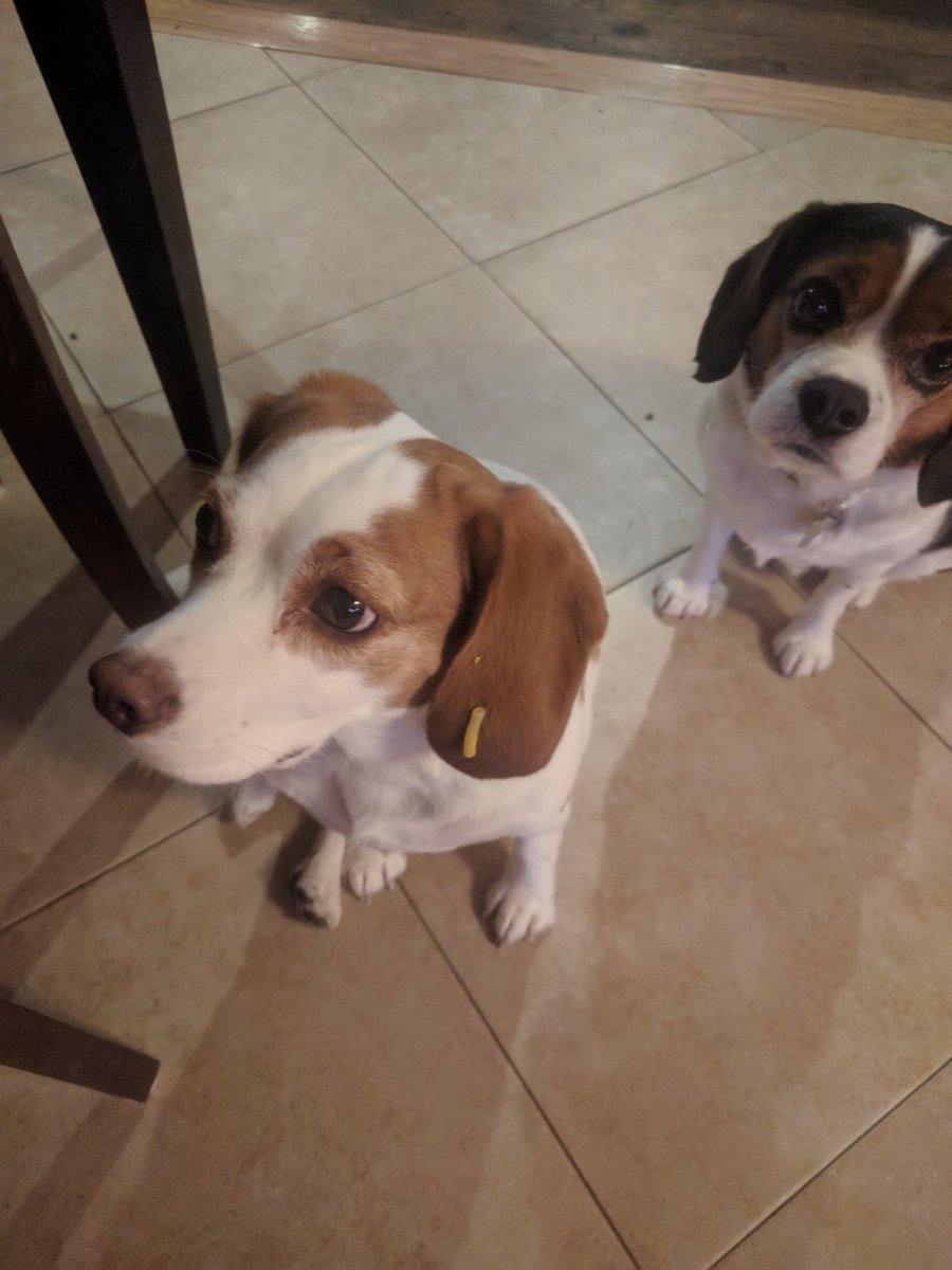 Matthew Shoup tweet media