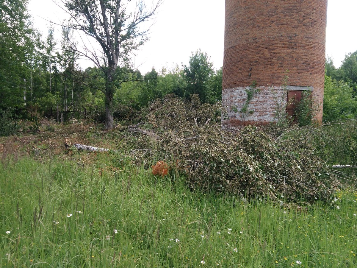 mupkomvenev's tweet photo. Опиловка деревьев на водозаборе "Город" https://t.co/bNqyH2tewM