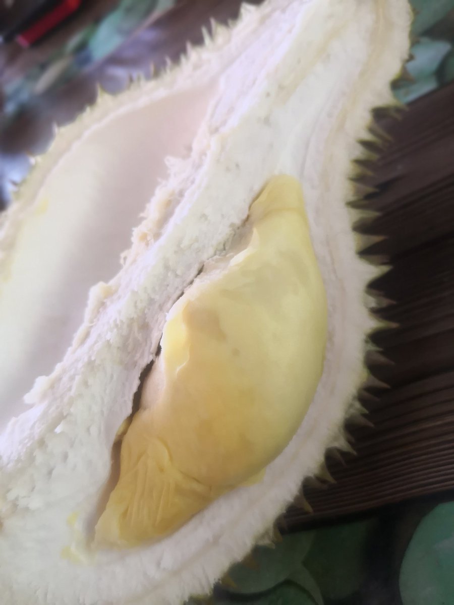 pahNisa's tweet photo. Jom dating dgn King of the fruits kat #FruitFlowerFoodFiesta2018 di #RTCperak pd 26-30 Julai 2018
Jgn lupa no...pakat pi ramai2..
#FamaFest
#FAMADihatiRakyat
#AgrobazaarOnline https://t.co/MP8T2YxQf6