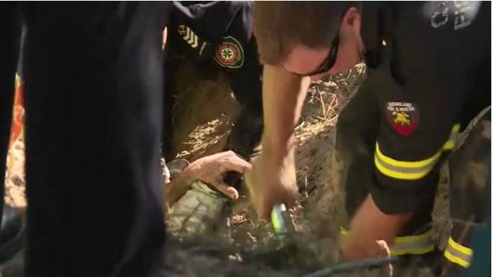 Sarah-Jane Sinclair tweet media