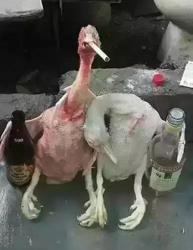 Aytdim sqnga pivo bilan aroqni aralashtirma dep...