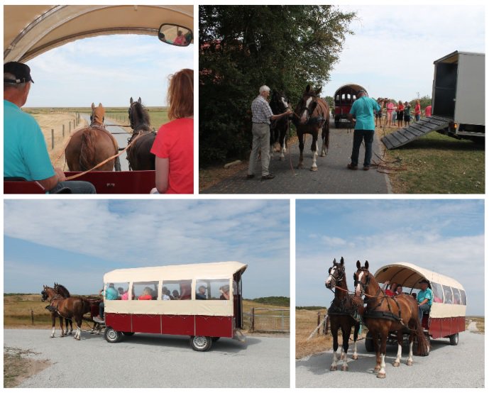 We kregen een leuk bericht van een groep bewoners en hun begeleiders uit #Langweer. Ze zijn op #vakantie op #Ameland! Het eiland is inmiddels verkend met de bus, de fiets en de huifkar. 'Genieten met een grote G!', lieten ze weten. #fakânsje