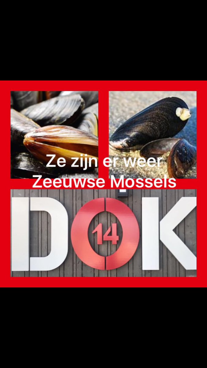 StrandpaviljoenDOK14 (@dok14cadzand) on Twitter photo 