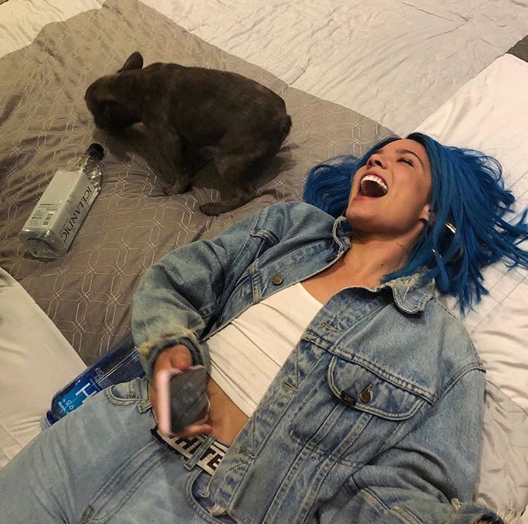 Halsey Thailand tweet media