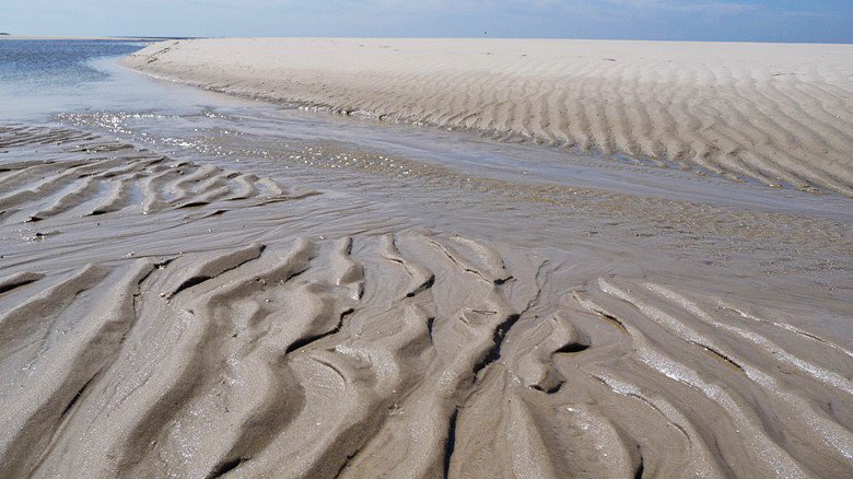 HereonHelmholtz's tweet photo. Mit dem Portal #coastMap könnt ihr euch einen Gesamteindruck des Zustands der gesamten #Nordsee verschaffen. Dort werden mehr als 1.000 verschiedenen Messgrößen bereitgestellt – zur schnellen Beantwortung wissenschaftlicher Fragestellungen https://t.co/HC7eNdU7xy #Küstenforschung https://t.co/IktJpwtNLR
