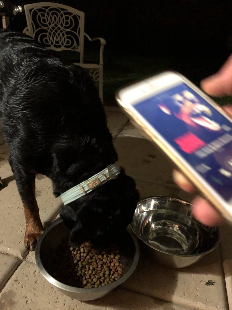 JacobEdery's tweet photo. Update, she’s hungry and likes offset https://t.co/9arMCwcp8L