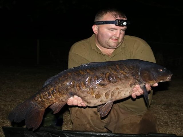 BigFishBaits's tweet photo. Once again another report has made it's way out of Coston. All 3 Mirrors, including an absolute warrior of a big plated, fell to a mix of #SpicedNut and #Squilberry for Nathan Carper John https://t.co/oggrFIUhDd